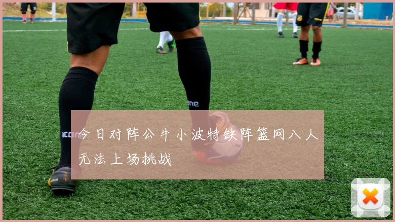 今日对阵公牛小波特缺阵篮网八人无法上场挑战