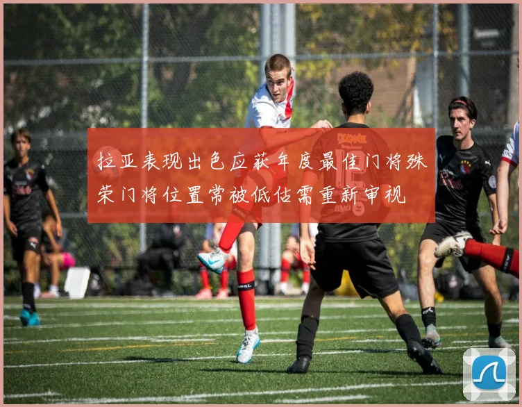 拉亚表现出色应获年度最佳门将殊荣门将位置常被低估需重新审视